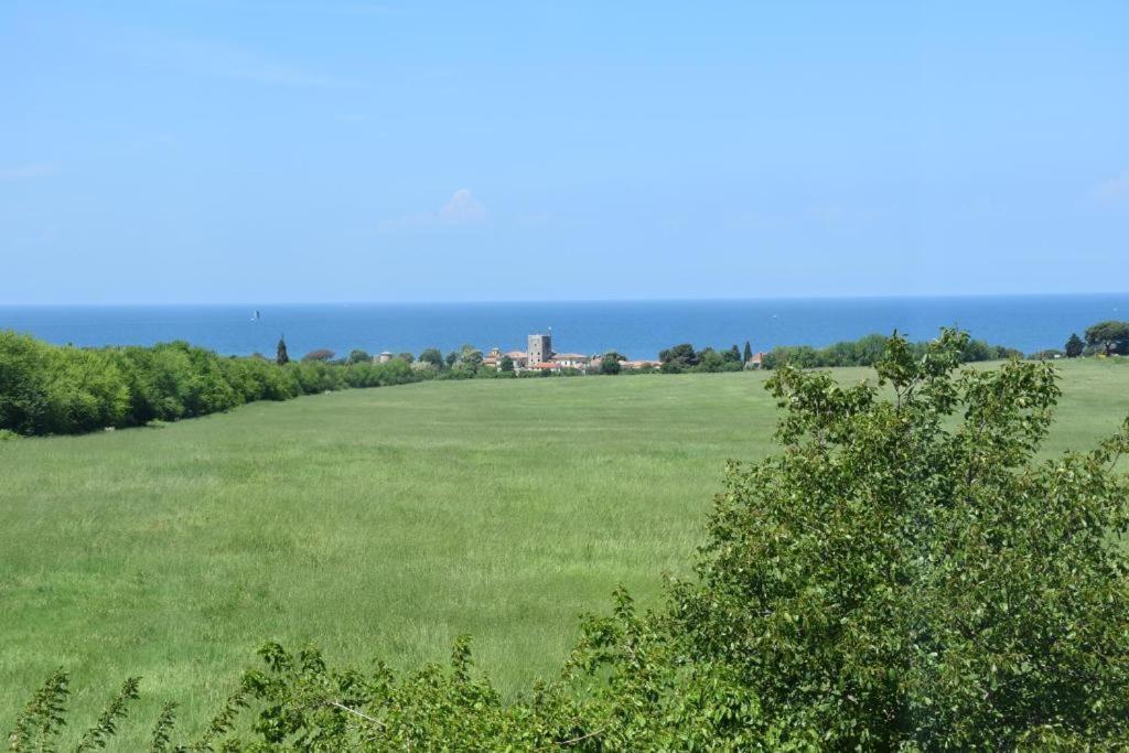 Apartmani Ritosa Novigrad  Exterior photo